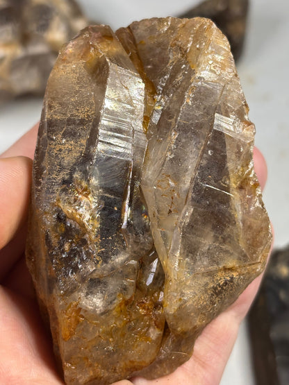 Rauchquarz Kristalle & Kristallstücke, Malawi Morion teilweise sehr transparent Elestial Jacaré Quarz Phantomquarz Ägirin Akmit Feldspat Zomba