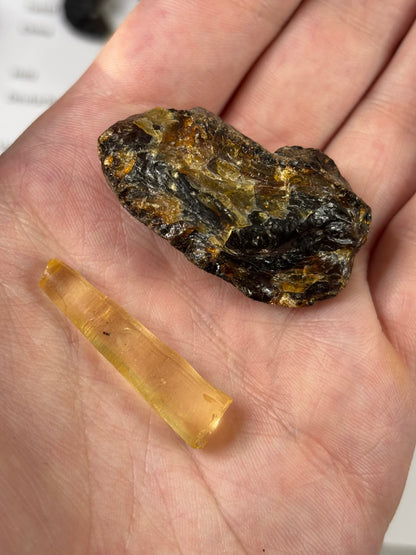 Fossilien Sammlung mit 25 Stück (Adventkalender)