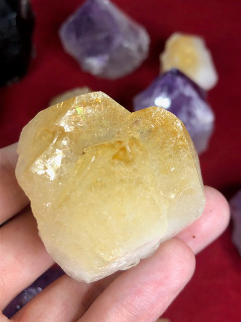 Freistehende Amethyst Citrin oder Rauchquarz Spitze in bester Qualität, naturbelassen Morion