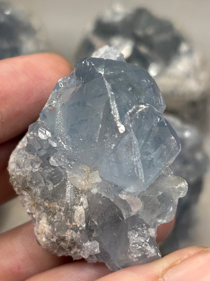 Coelestin Kristall Druse blau, in bester Qualität, Celestin Celestit