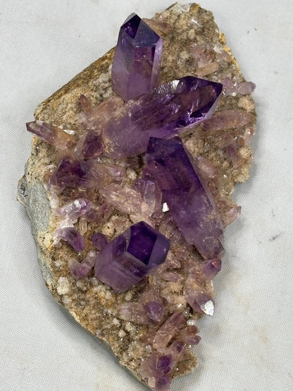 Amethyst Veracruz Mexiko, Las Vigas Museumsstufe, EXTRA Qualität