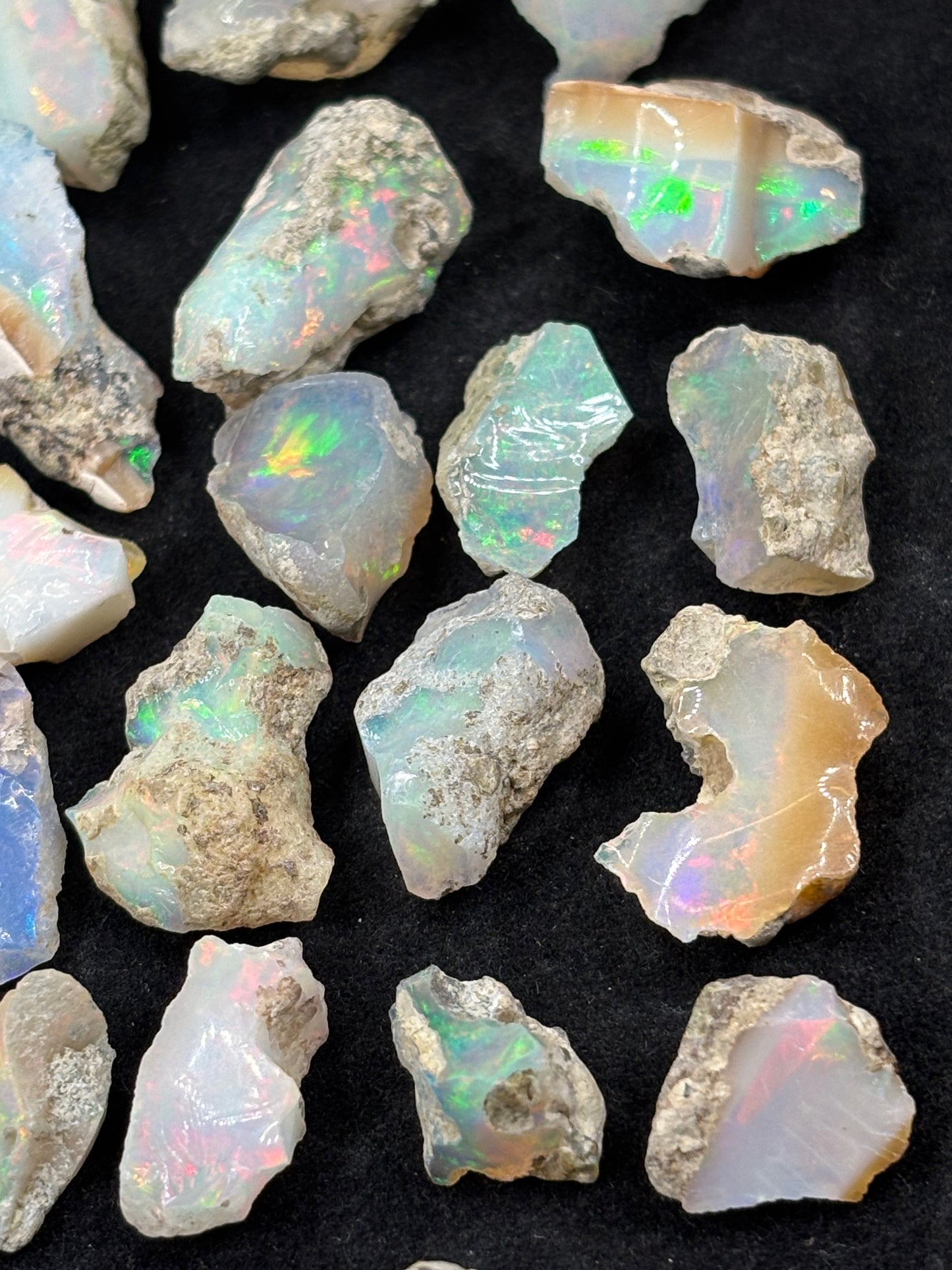 Welo Opal verschiedene Größen, beste Qualität Edelopal