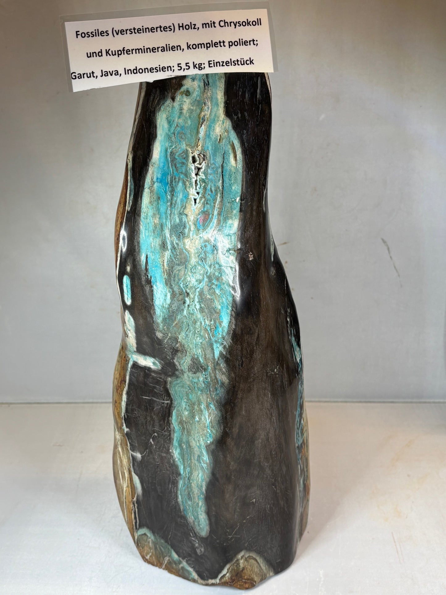 Versteinertes Holz mit Chrysokoll auf allen Seiten hochglanzpoliert, XL (ca. 5,5 Kg) in bester Qualität, Collawood Kupfermineralien Museumsstück Rarität fossiler Baumstamm Garut Java Indonesien