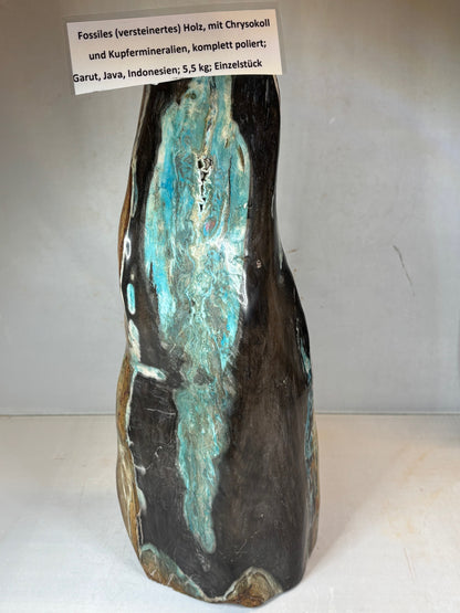 Versteinertes Holz mit Chrysokoll auf allen Seiten hochglanzpoliert, XL (ca. 5,5 Kg) in bester Qualität, Collawood Kupfermineralien Museumsstück Rarität fossiler Baumstamm Garut Java Indonesien
