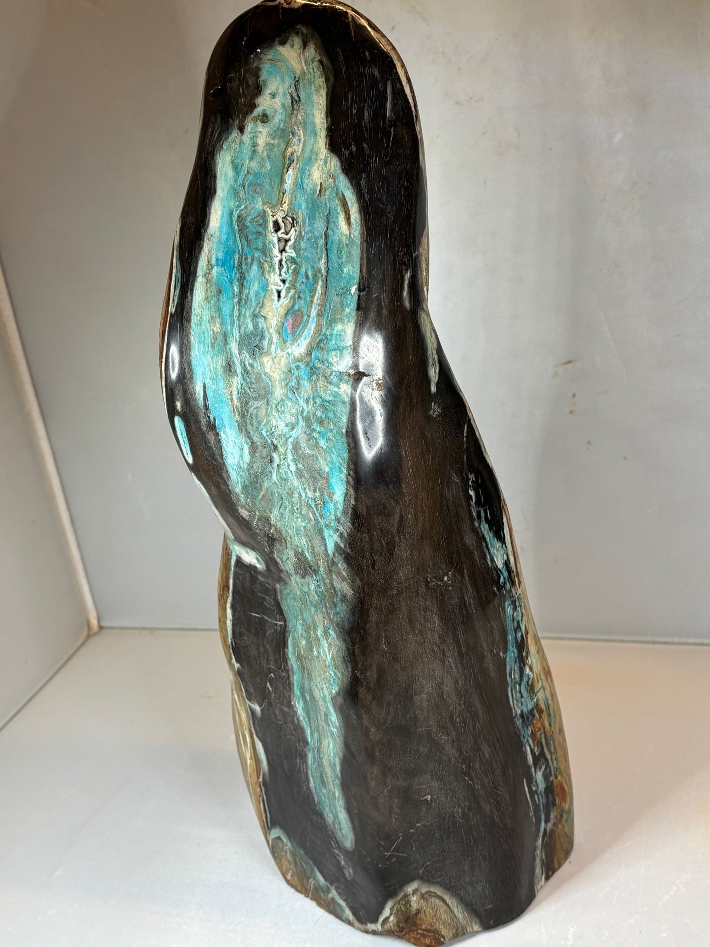 Versteinertes Holz mit Chrysokoll auf allen Seiten hochglanzpoliert, XL (ca. 5,5 Kg) in bester Qualität, Collawood Kupfermineralien Museumsstück Rarität fossiler Baumstamm Garut Java Indonesien