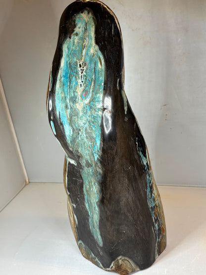 Versteinertes Holz mit Chrysokoll auf allen Seiten hochglanzpoliert, XL (ca. 5,5 Kg) in bester Qualität, Collawood Kupfermineralien Museumsstück Rarität fossiler Baumstamm Garut Java Indonesien