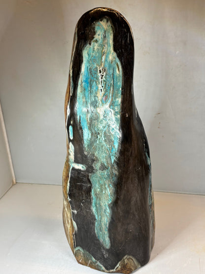 Versteinertes Holz mit Chrysokoll auf allen Seiten hochglanzpoliert, XL (ca. 5,5 Kg) in bester Qualität, Collawood Kupfermineralien Museumsstück Rarität fossiler Baumstamm Garut Java Indonesien