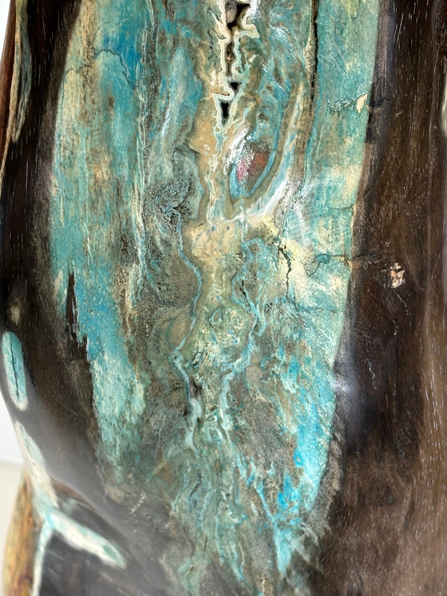 Versteinertes Holz mit Chrysokoll auf allen Seiten hochglanzpoliert, XL (ca. 5,5 Kg) in bester Qualität, Collawood Kupfermineralien Museumsstück Rarität fossiler Baumstamm Garut Java Indonesien