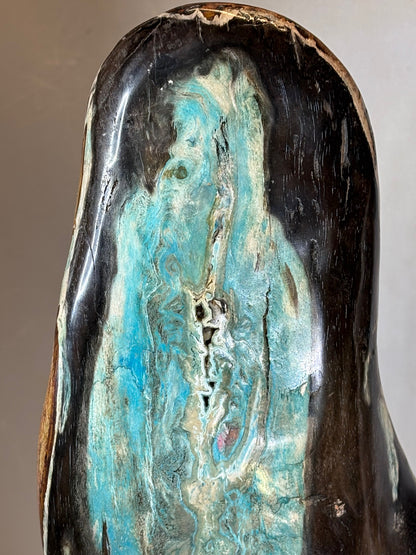 Versteinertes Holz mit Chrysokoll auf allen Seiten hochglanzpoliert, XL (ca. 5,5 Kg) in bester Qualität, Collawood Kupfermineralien Museumsstück Rarität fossiler Baumstamm Garut Java Indonesien