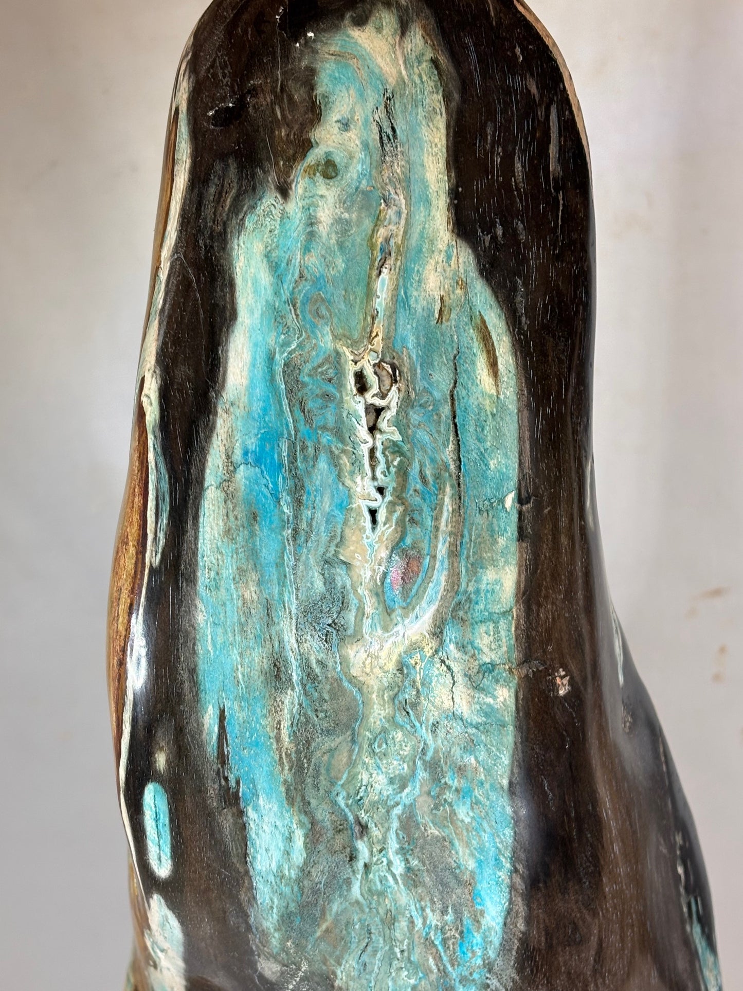 Versteinertes Holz mit Chrysokoll auf allen Seiten hochglanzpoliert, XL (ca. 5,5 Kg) in bester Qualität, Collawood Kupfermineralien Museumsstück Rarität fossiler Baumstamm Garut Java Indonesien