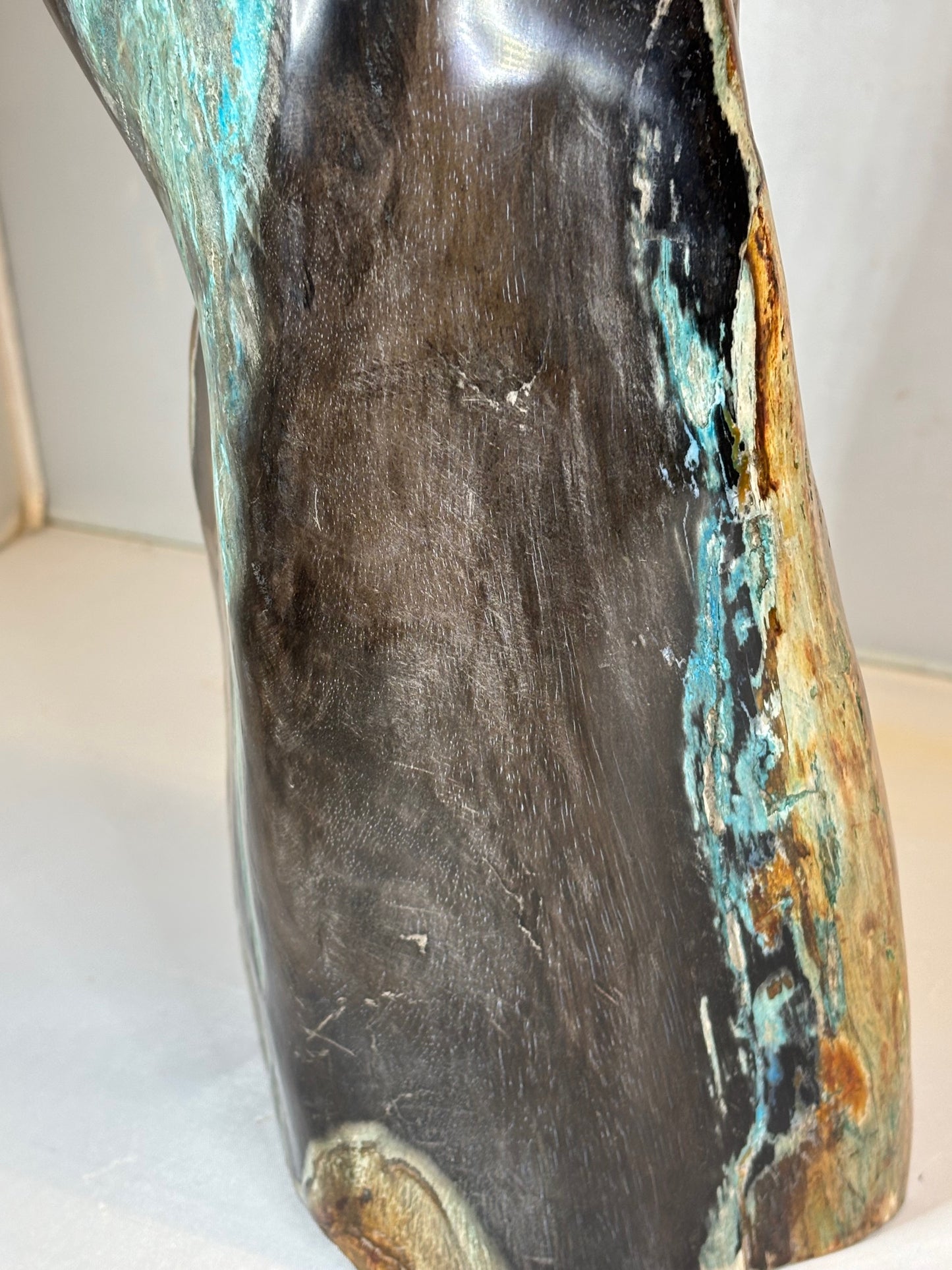 Versteinertes Holz mit Chrysokoll auf allen Seiten hochglanzpoliert, XL (ca. 5,5 Kg) in bester Qualität, Collawood Kupfermineralien Museumsstück Rarität fossiler Baumstamm Garut Java Indonesien