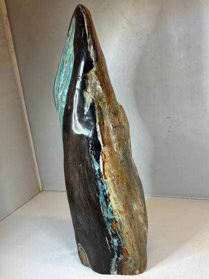 Versteinertes Holz mit Chrysokoll auf allen Seiten hochglanzpoliert, XL (ca. 5,5 Kg) in bester Qualität, Collawood Kupfermineralien Museumsstück Rarität fossiler Baumstamm Garut Java Indonesien