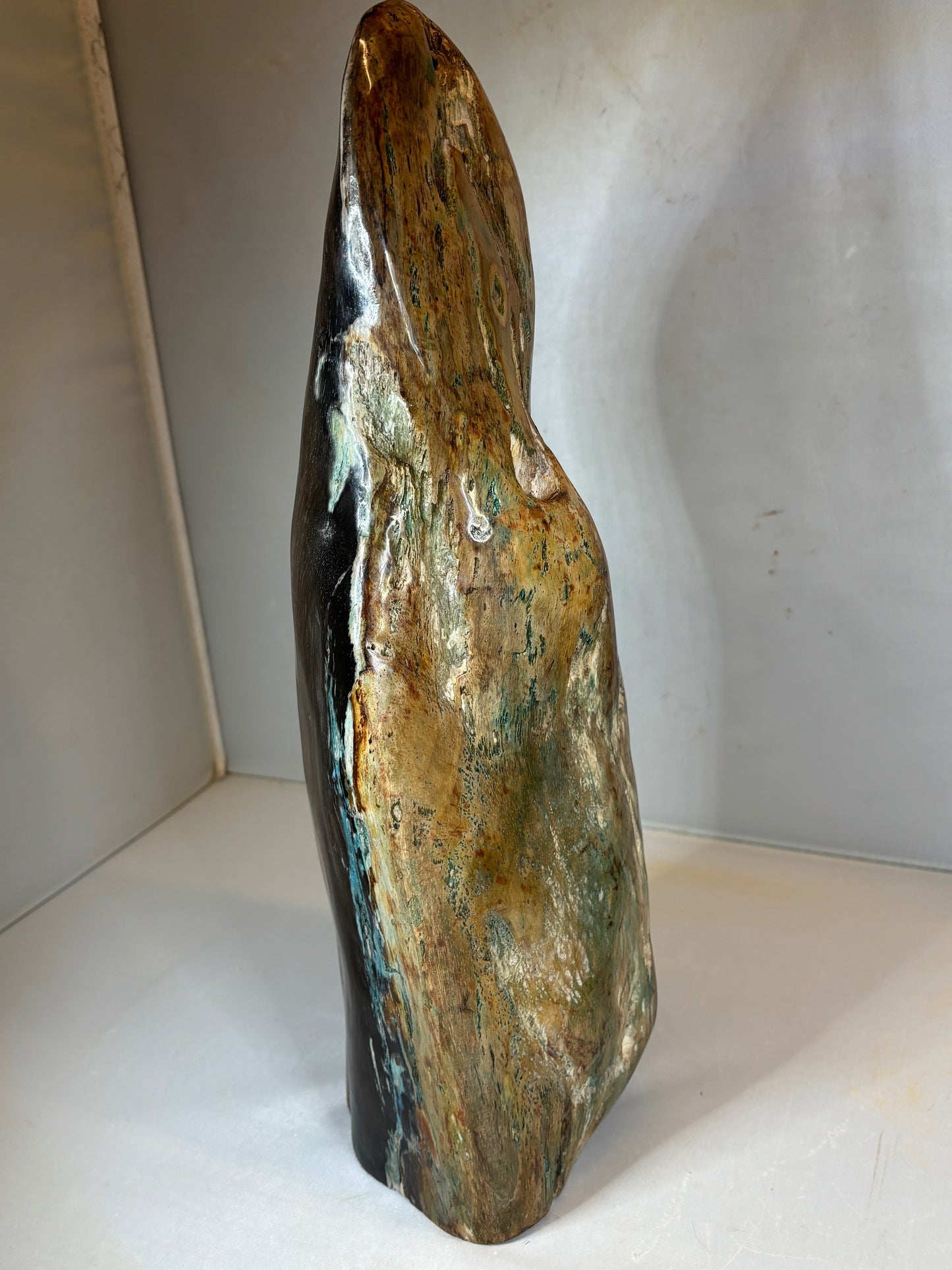 Versteinertes Holz mit Chrysokoll auf allen Seiten hochglanzpoliert, XL (ca. 5,5 Kg) in bester Qualität, Collawood Kupfermineralien Museumsstück Rarität fossiler Baumstamm Garut Java Indonesien