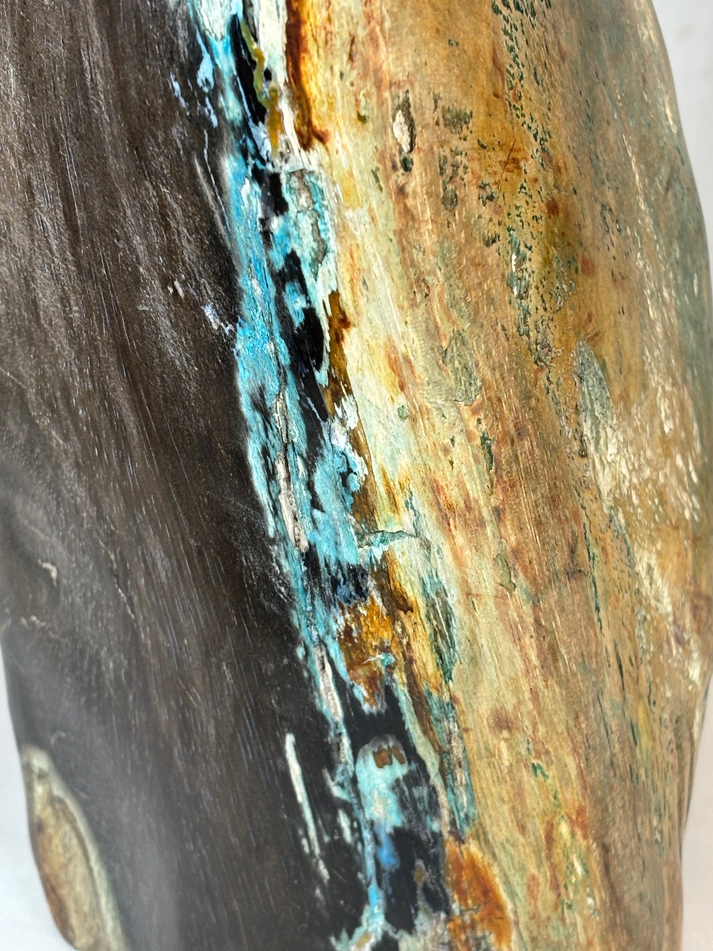 Versteinertes Holz mit Chrysokoll auf allen Seiten hochglanzpoliert, XL (ca. 5,5 Kg) in bester Qualität, Collawood Kupfermineralien Museumsstück Rarität fossiler Baumstamm Garut Java Indonesien