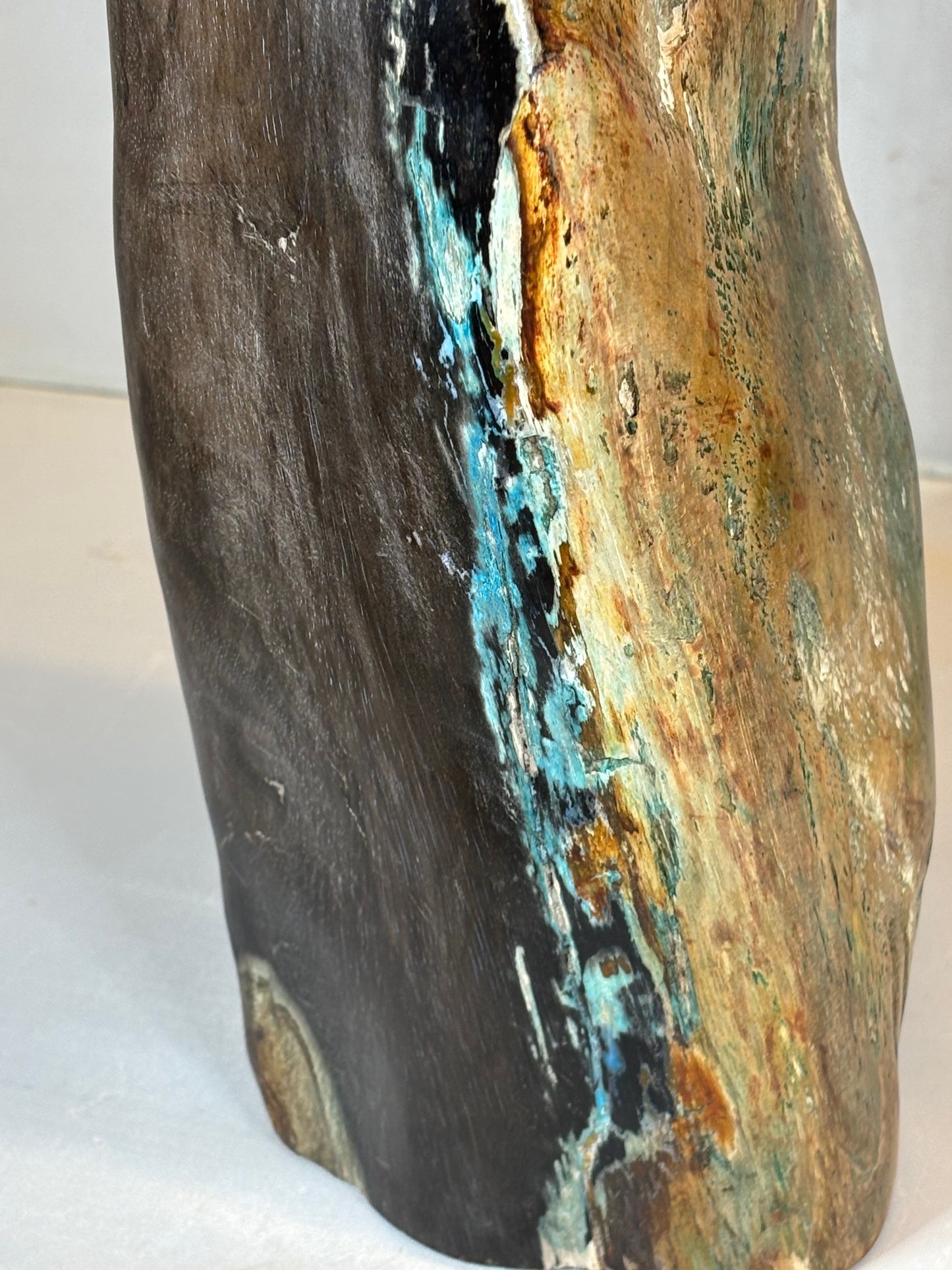 Versteinertes Holz mit Chrysokoll auf allen Seiten hochglanzpoliert, XL (ca. 5,5 Kg) in bester Qualität, Collawood Kupfermineralien Museumsstück Rarität fossiler Baumstamm Garut Java Indonesien