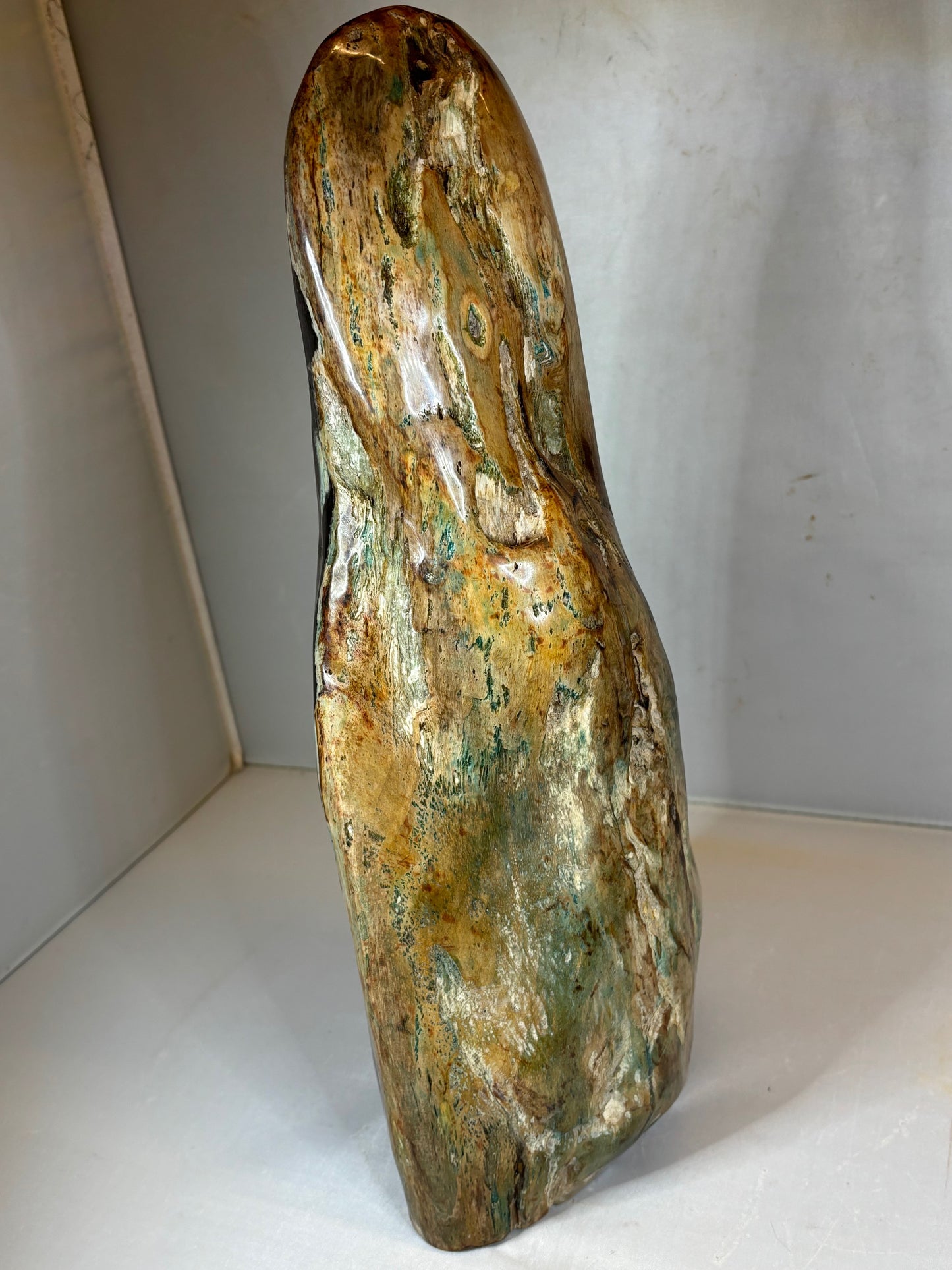 Versteinertes Holz mit Chrysokoll auf allen Seiten hochglanzpoliert, XL (ca. 5,5 Kg) in bester Qualität, Collawood Kupfermineralien Museumsstück Rarität fossiler Baumstamm Garut Java Indonesien