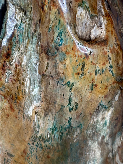 Versteinertes Holz mit Chrysokoll auf allen Seiten hochglanzpoliert, XL (ca. 5,5 Kg) in bester Qualität, Collawood Kupfermineralien Museumsstück Rarität fossiler Baumstamm Garut Java Indonesien