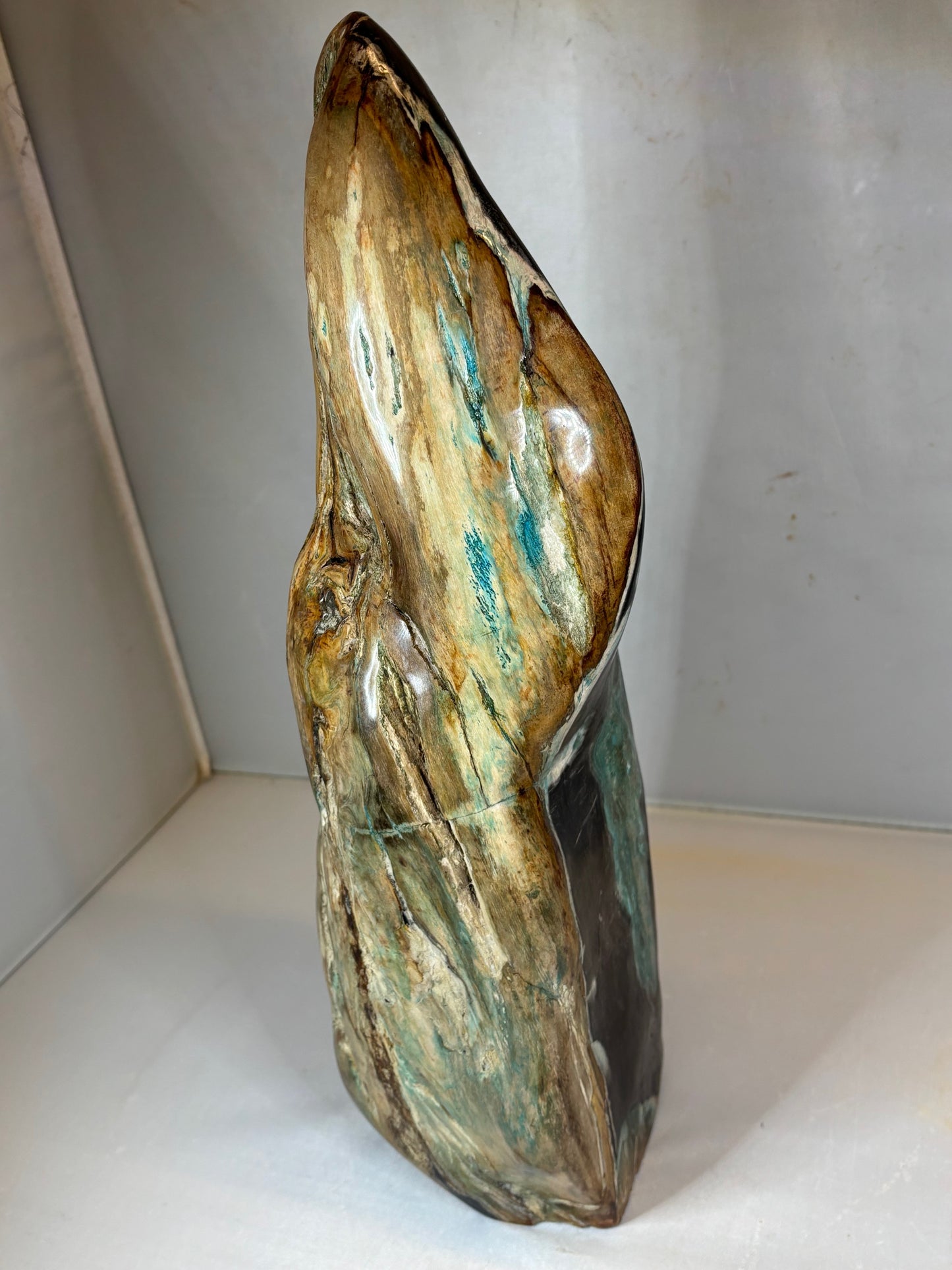 Versteinertes Holz mit Chrysokoll auf allen Seiten hochglanzpoliert, XL (ca. 5,5 Kg) in bester Qualität, Collawood Kupfermineralien Museumsstück Rarität fossiler Baumstamm Garut Java Indonesien