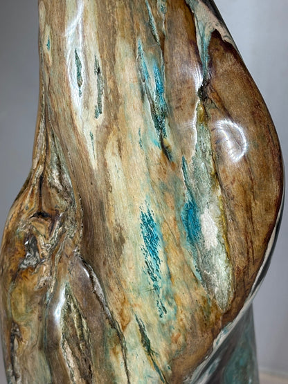 Versteinertes Holz mit Chrysokoll auf allen Seiten hochglanzpoliert, XL (ca. 5,5 Kg) in bester Qualität, Collawood Kupfermineralien Museumsstück Rarität fossiler Baumstamm Garut Java Indonesien