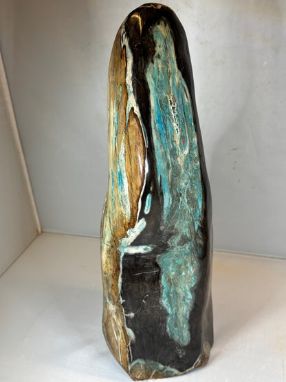 Versteinertes Holz mit Chrysokoll auf allen Seiten hochglanzpoliert, XL (ca. 5,5 Kg) in bester Qualität, Collawood Kupfermineralien Museumsstück Rarität fossiler Baumstamm Garut Java Indonesien