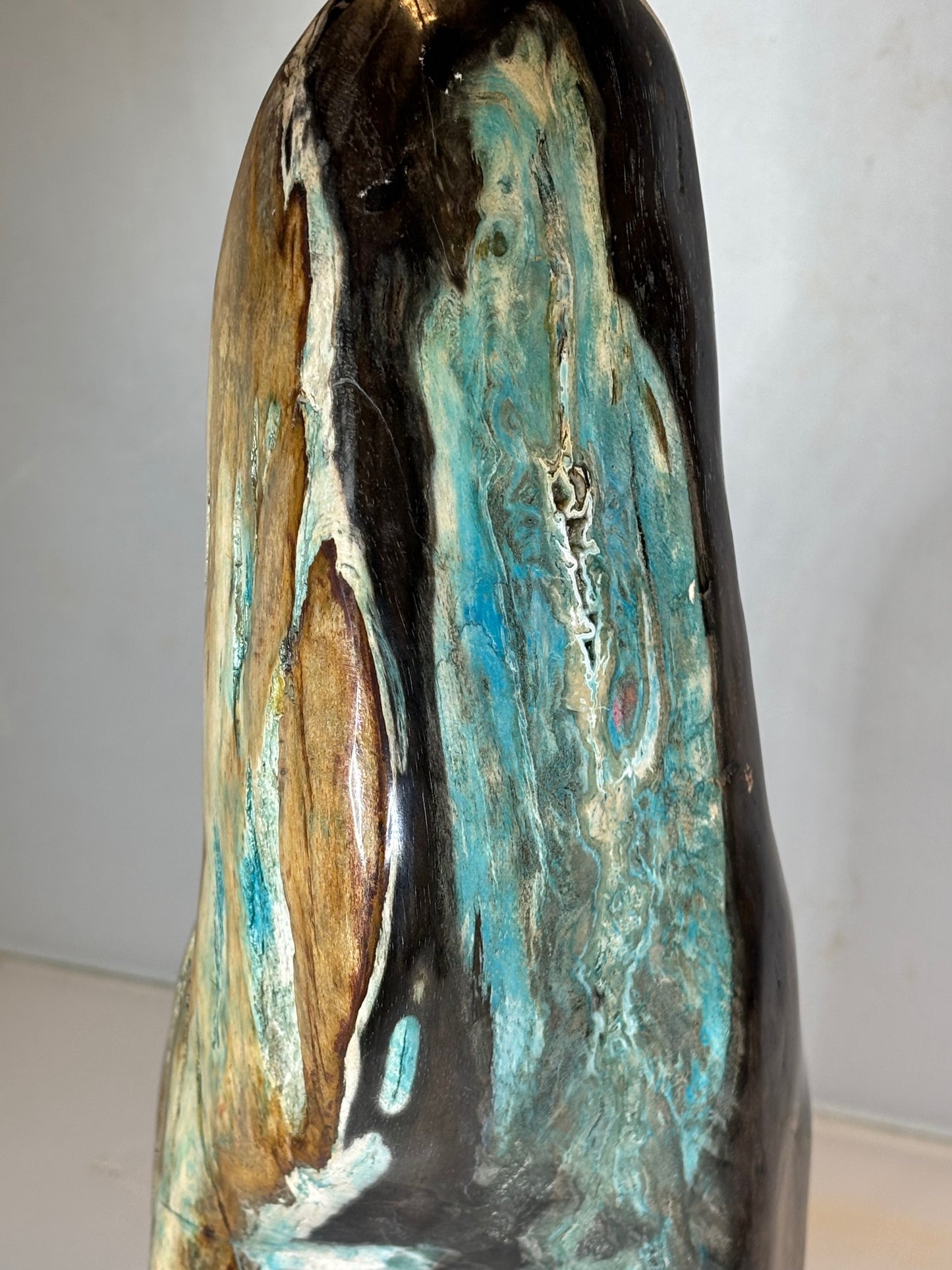 Versteinertes Holz mit Chrysokoll auf allen Seiten hochglanzpoliert, XL (ca. 5,5 Kg) in bester Qualität, Collawood Kupfermineralien Museumsstück Rarität fossiler Baumstamm Garut Java Indonesien