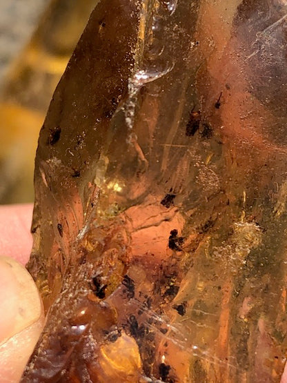 Kopal Jungbernstein, in bester Qualität, Insekt Inclusionen Einschlüsse halbversteinerter Bernstein