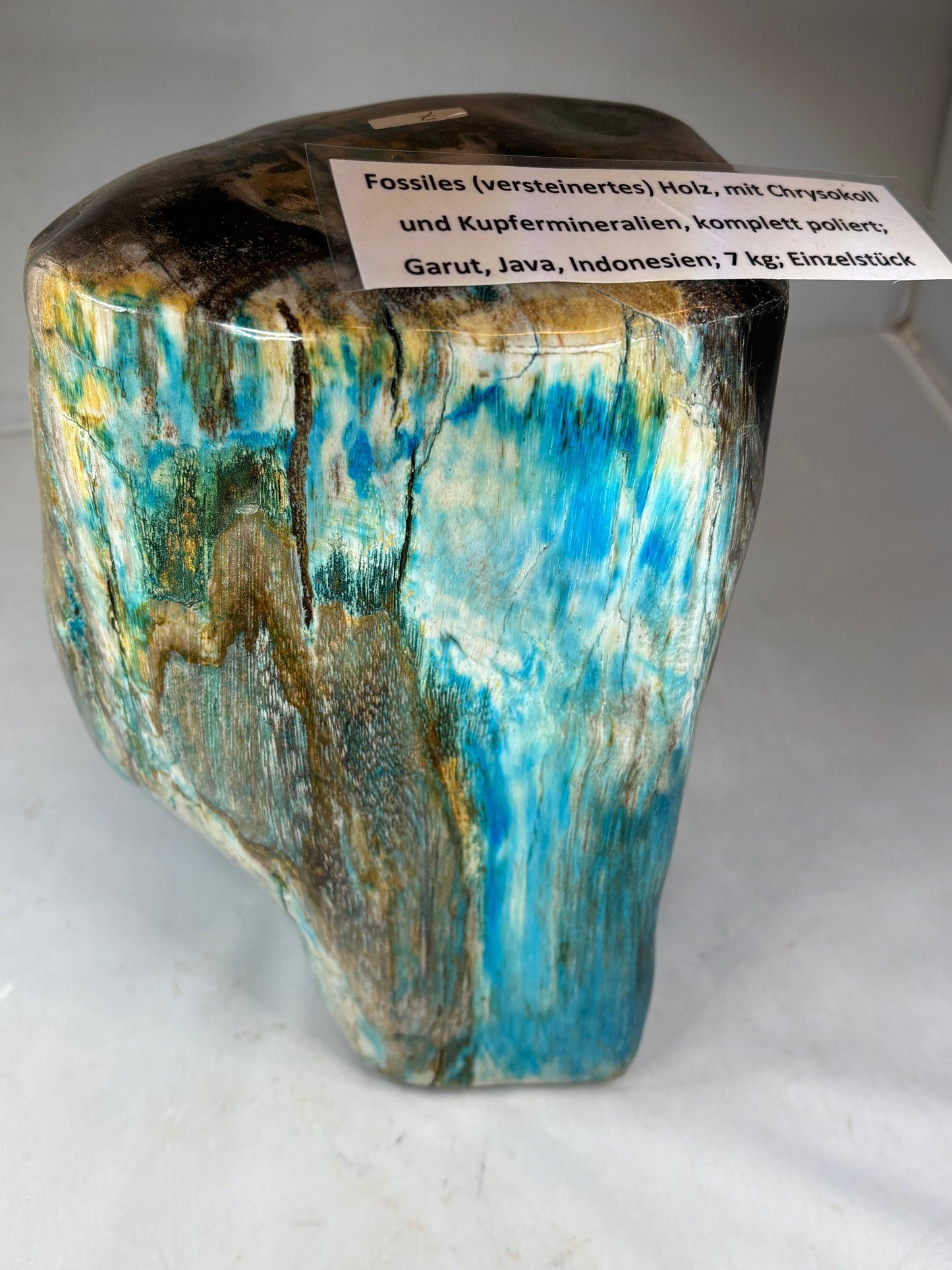 Versteinertes Holz mit Chrysokoll auf allen Seiten hochglanzpoliert, XL (ca. 7 Kg) in bester Qualität, Collawood Kupfermineralien Museumsstück Rarität fossiler Baumstamm Garut Java Indonesien