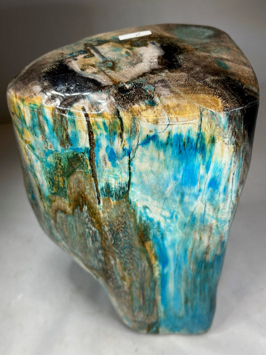 Versteinertes Holz mit Chrysokoll auf allen Seiten hochglanzpoliert, XL (ca. 7 Kg) in bester Qualität, Collawood Kupfermineralien Museumsstück Rarität fossiler Baumstamm Garut Java Indonesien