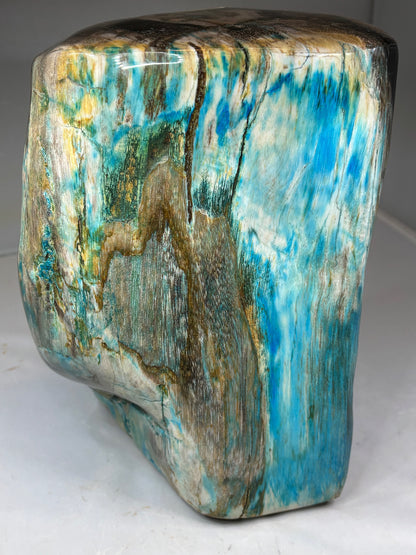 Versteinertes Holz mit Chrysokoll auf allen Seiten hochglanzpoliert, XL (ca. 7 Kg) in bester Qualität, Collawood Kupfermineralien Museumsstück Rarität fossiler Baumstamm Garut Java Indonesien