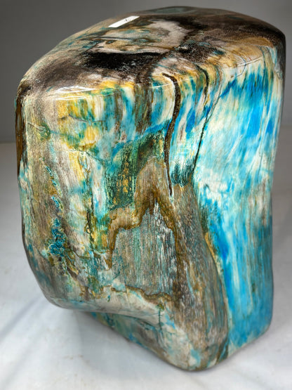 Versteinertes Holz mit Chrysokoll auf allen Seiten hochglanzpoliert, XL (ca. 7 Kg) in bester Qualität, Collawood Kupfermineralien Museumsstück Rarität fossiler Baumstamm Garut Java Indonesien