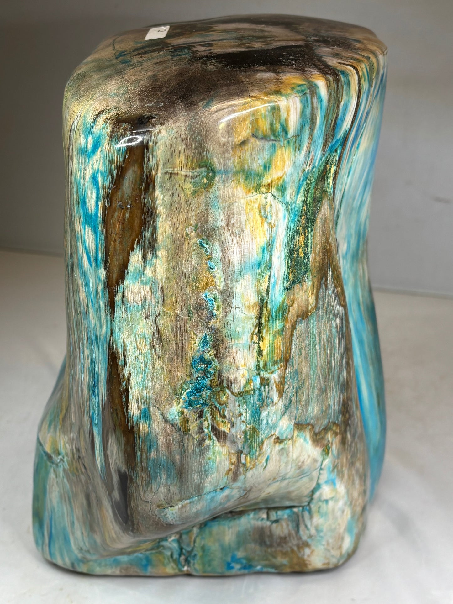 Versteinertes Holz mit Chrysokoll auf allen Seiten hochglanzpoliert, XL (ca. 7 Kg) in bester Qualität, Collawood Kupfermineralien Museumsstück Rarität fossiler Baumstamm Garut Java Indonesien