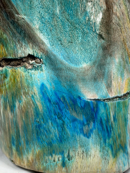 Versteinertes Holz mit Chrysokoll auf allen Seiten hochglanzpoliert, XL (ca. 7 Kg) in bester Qualität, Collawood Kupfermineralien Museumsstück Rarität fossiler Baumstamm Garut Java Indonesien