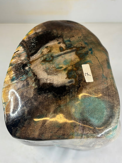 Versteinertes Holz mit Chrysokoll auf allen Seiten hochglanzpoliert, XL (ca. 7 Kg) in bester Qualität, Collawood Kupfermineralien Museumsstück Rarität fossiler Baumstamm Garut Java Indonesien