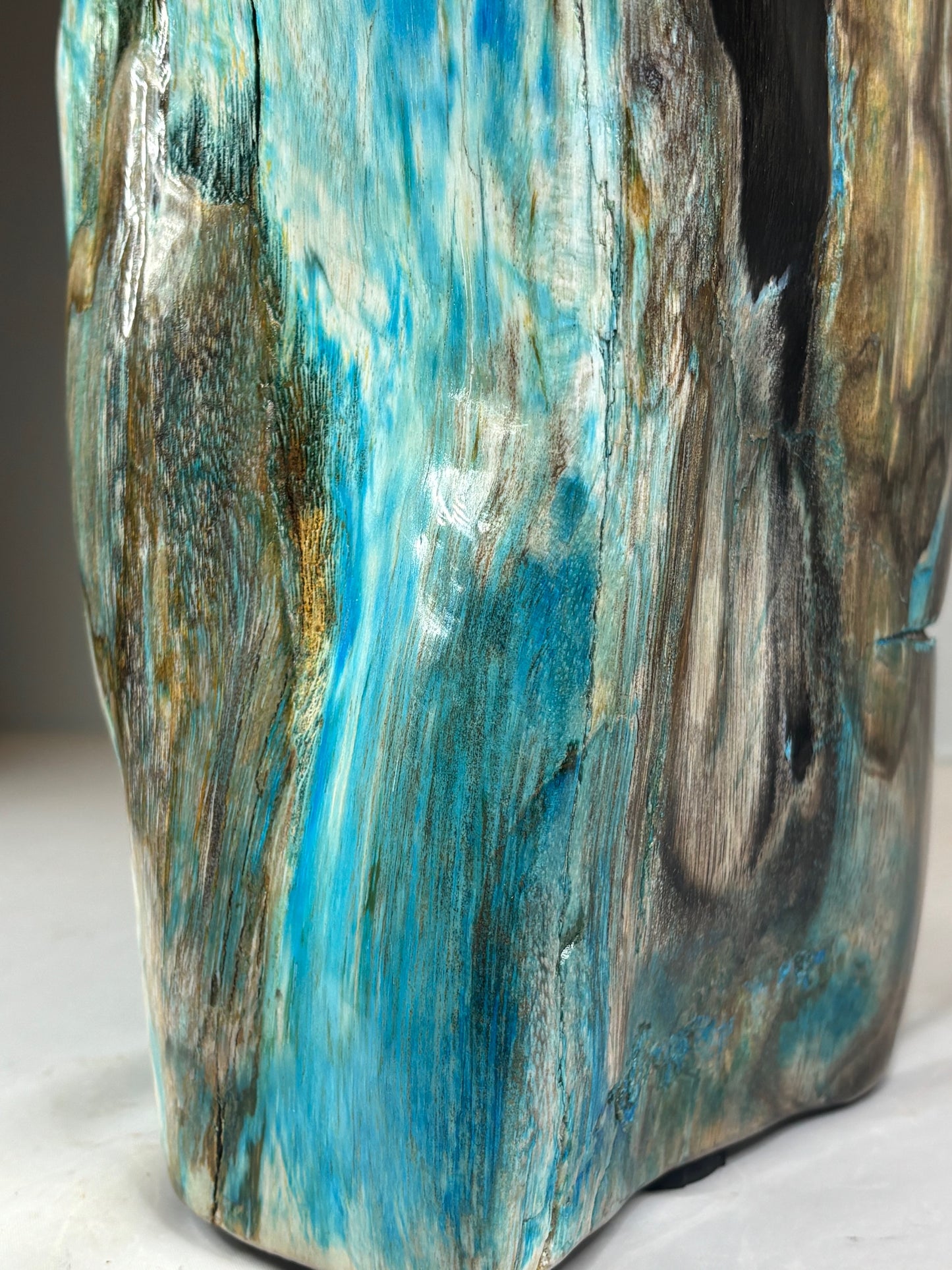 Versteinertes Holz mit Chrysokoll auf allen Seiten hochglanzpoliert, XL (ca. 7 Kg) in bester Qualität, Collawood Kupfermineralien Museumsstück Rarität fossiler Baumstamm Garut Java Indonesien