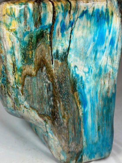 Versteinertes Holz mit Chrysokoll auf allen Seiten hochglanzpoliert, XL (ca. 7 Kg) in bester Qualität, Collawood Kupfermineralien Museumsstück Rarität fossiler Baumstamm Garut Java Indonesien