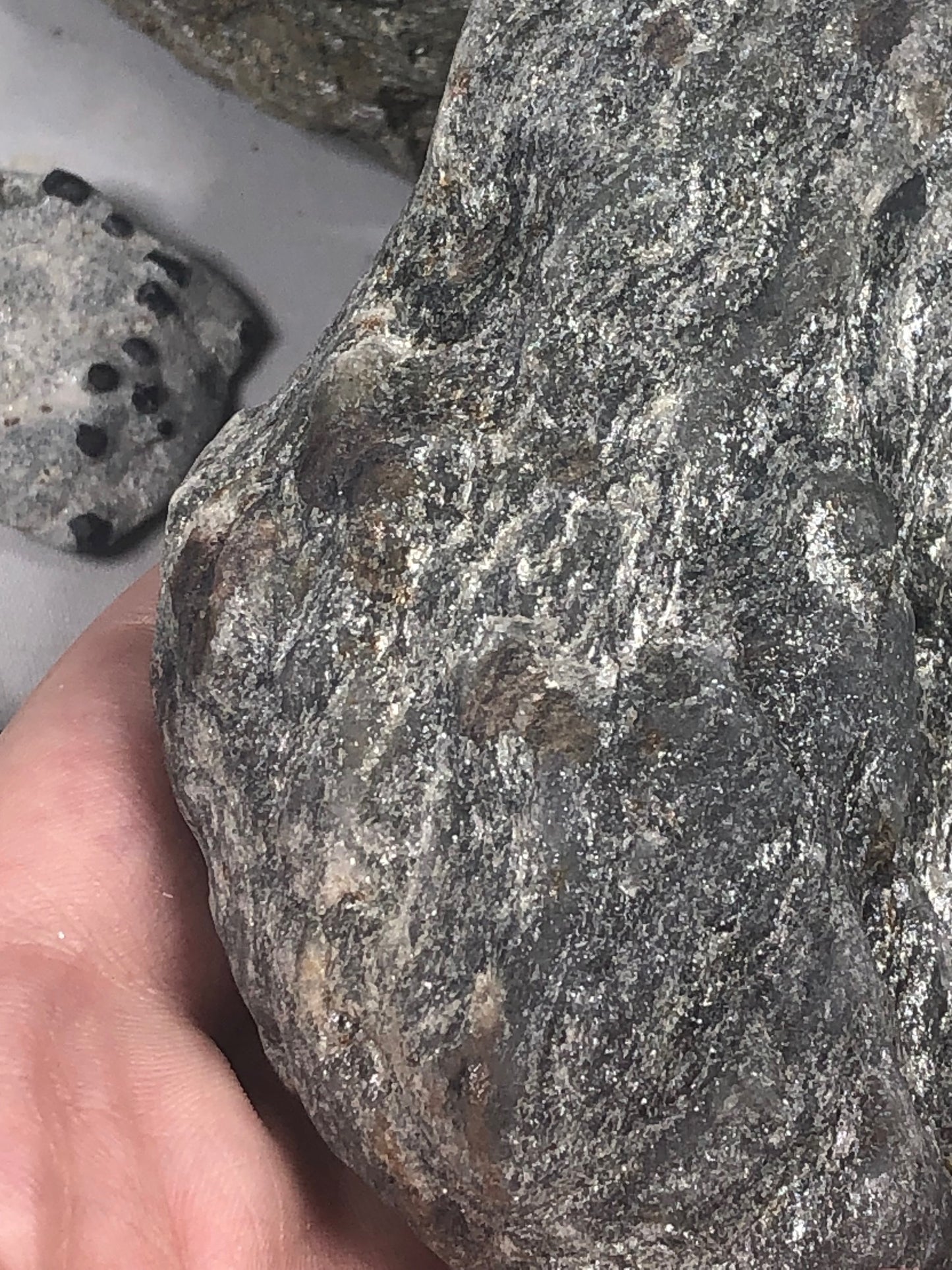 Granat Almandin in Glimmer, sehr gute Qualität, Österreich