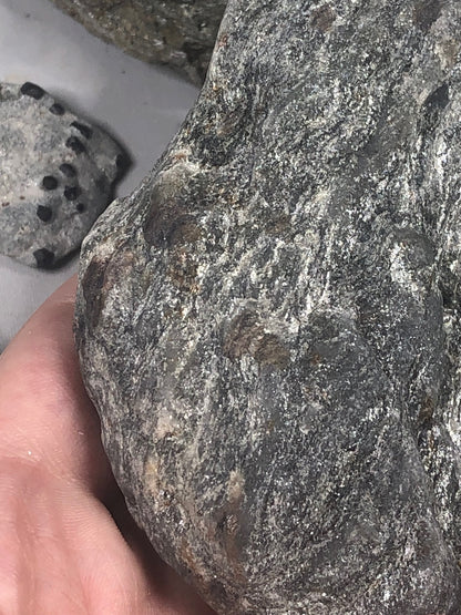 Granat Almandin in Glimmer, sehr gute Qualität, Österreich