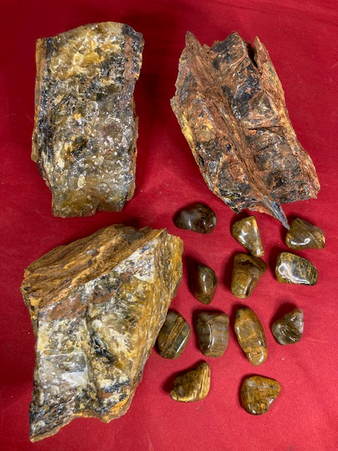 Pietersit gelb (Nellite) Lion Skin entweder Rohsteine oder Trommelsteine in bester Qualität, Tigerauge Falkenauge, Hämatit Quarz Jaspis