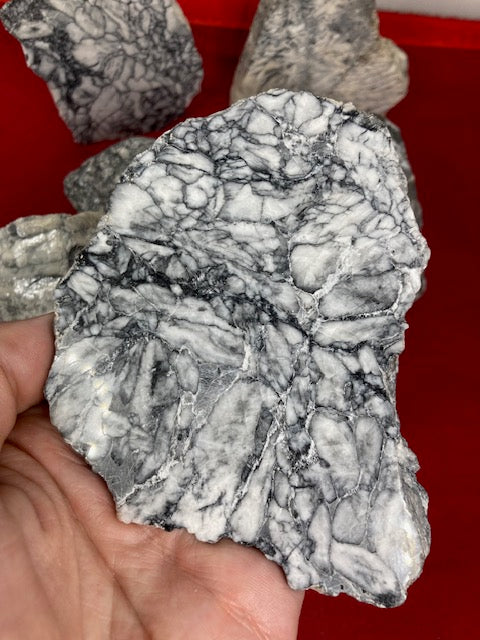Magnesit Pinolith Eisblumenmagnesit Rohsteine oder geschnittene Platten beste Qualität Chrysanthemenstein Wasserstein