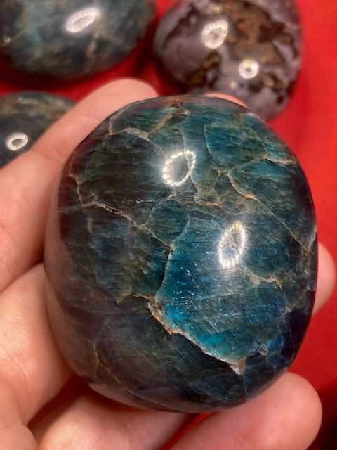 Apatit oder Indigo Gabbro XL Handschmeichler, in bester Qualität, Pebble Taschenstein, Mystic Merlinit
