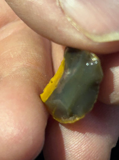 Edelopal Sammlung weltweit, 8 Stück Welo/ Boulder/ Feuer/ Glas Opal Hyalith Schwarzopal