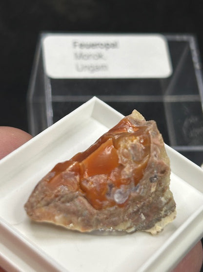 Edelopal Sammlung weltweit, 8 Stück Welo/ Boulder/ Feuer/ Glas Opal Hyalith Schwarzopal