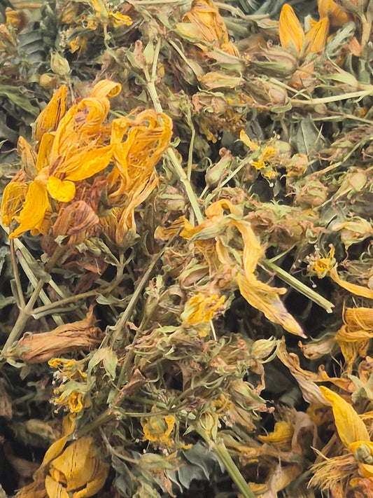 Johanniskraut getrocknet zum Räuchern, naturbelassen aus Österreich, Hypericum perforatum