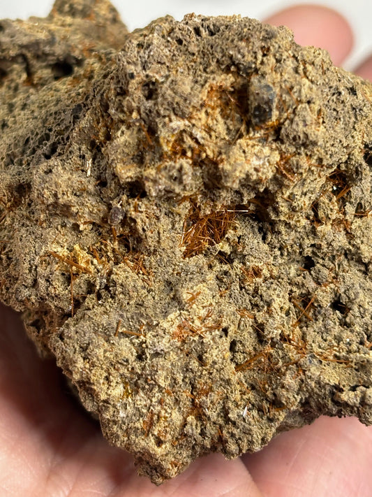 Magnesio Hornblende (Rarität) Kristalle auf Lavastein, 7 Stück Eifel Deutschland, beste Qualität Micromount Seltene Amphibol-Varietät