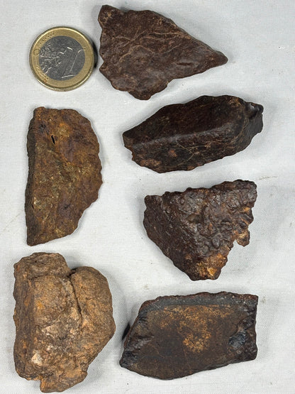 Echter Chondrit-Steinmeteorit (Sahara, Algerien) – Naturbelassene Unikate