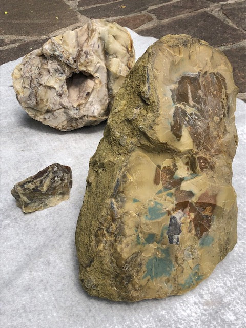 Versteinertes Holz opalisiert (Rarität) in bester Qualität mit Chalcedon (UV), fossiles Palmenholz Nadelholz fossilien Holzopal Opalholz