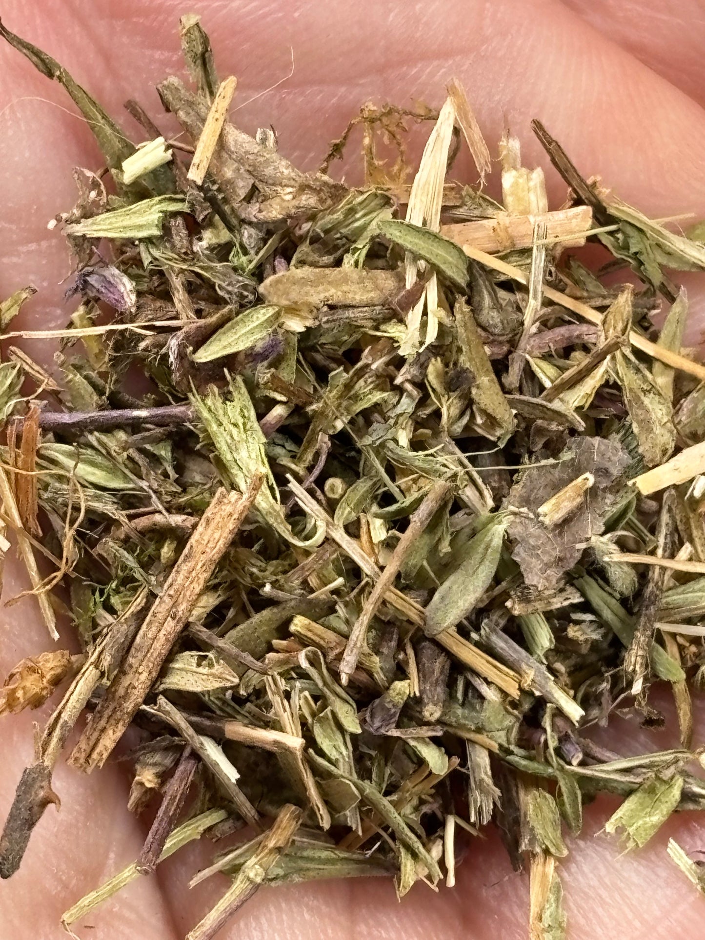 Getrockneter Quendel (Thymus serpyllum), 100% naturbelassen