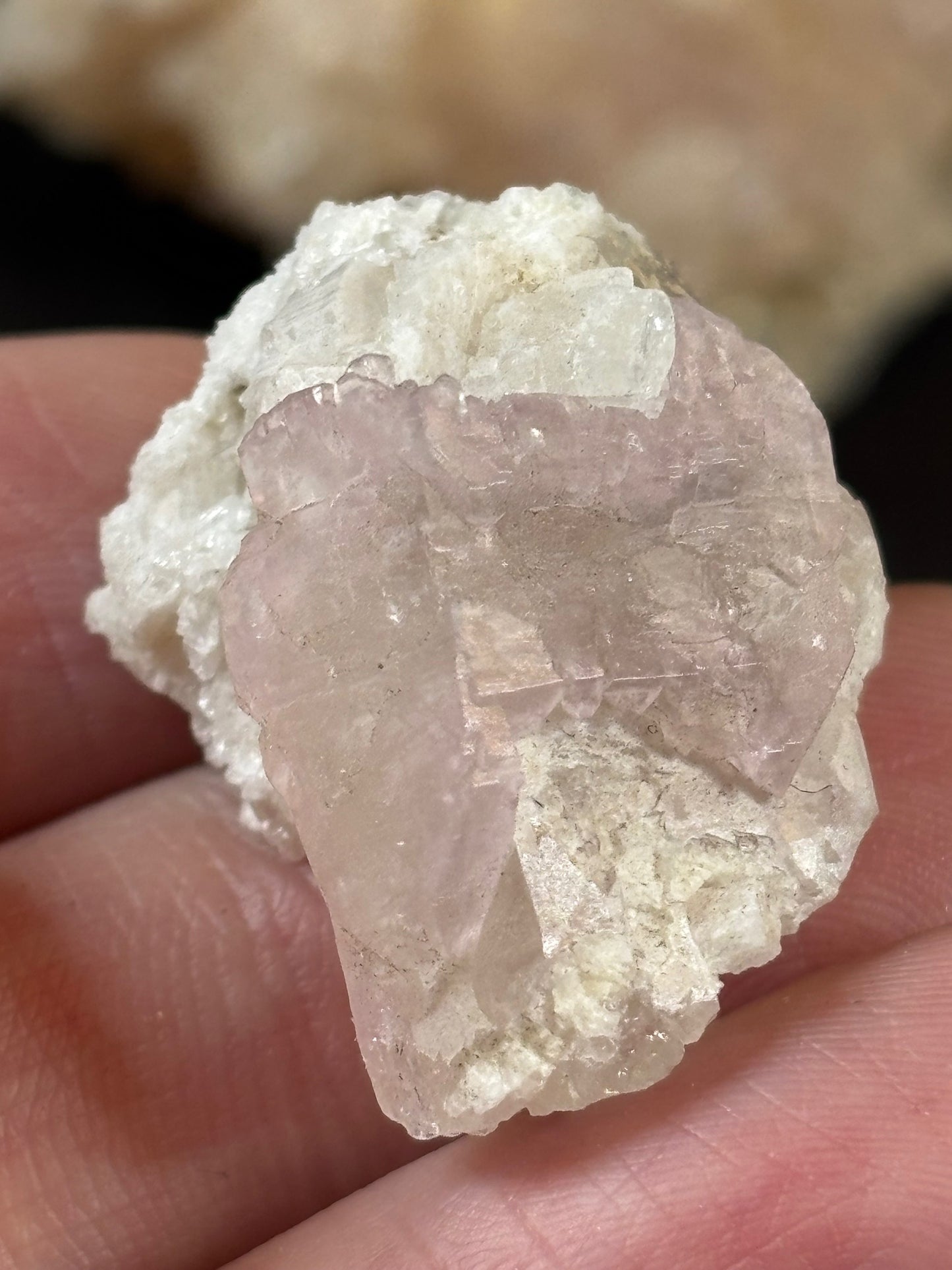 Rosaquarz – kristalliner rosa Quarz (natürliche Färbung), sehr selten kein Rosenquarz