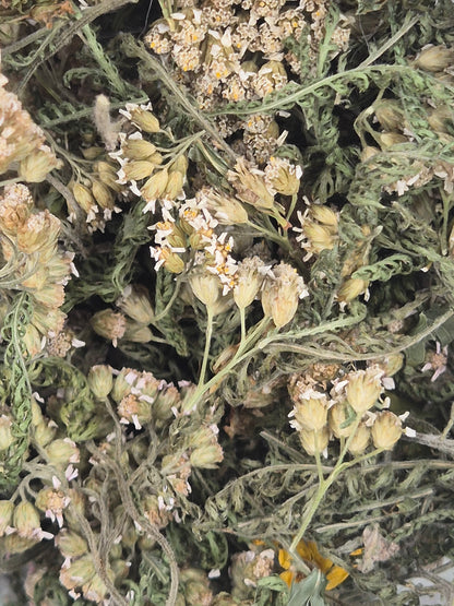 Schafgarbe getrocknet zum Räuchern, aus Österreich völlig naturbelassen, Achillea millefolium