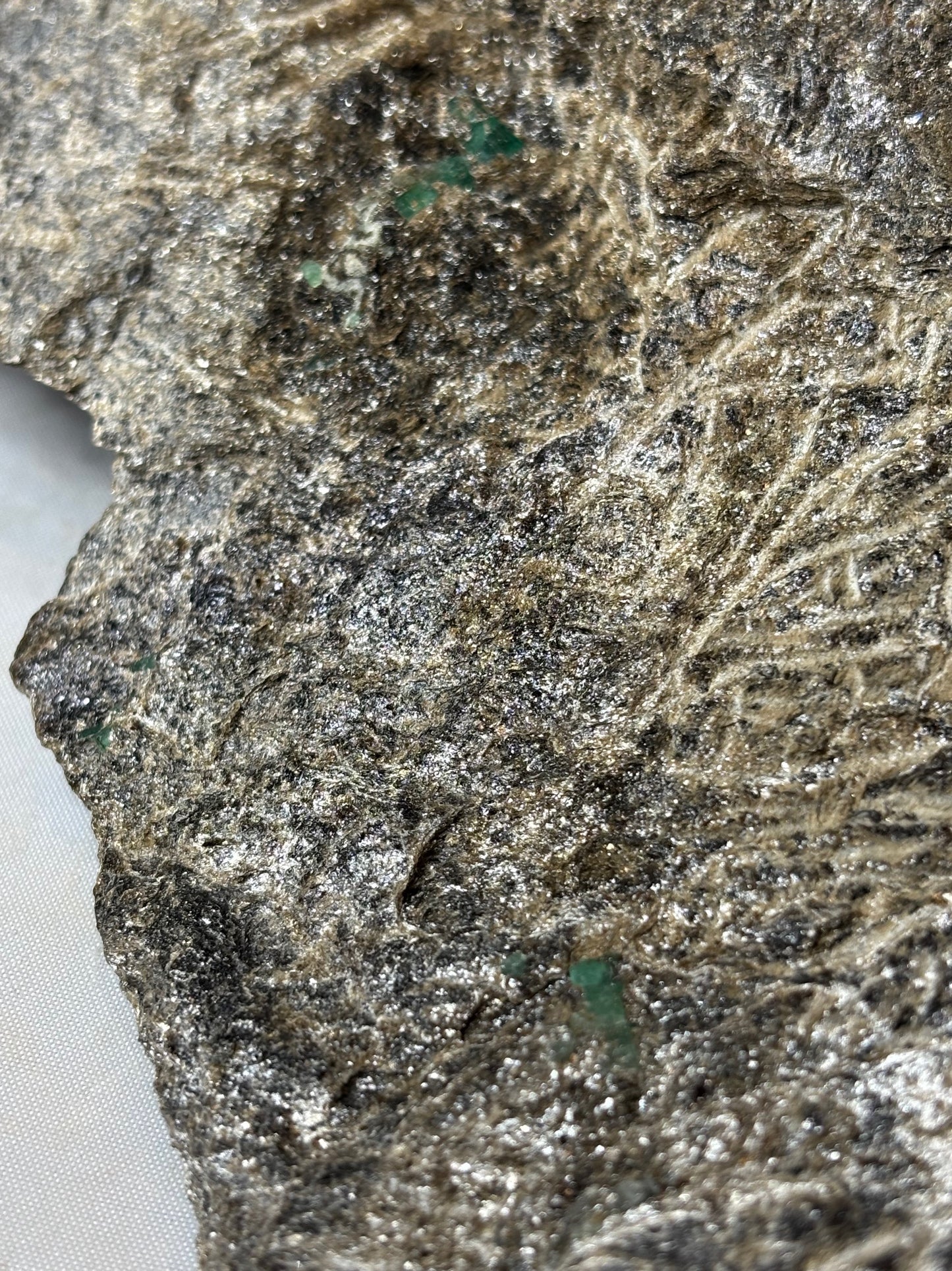 Smaragdkristalle auf Matrix, Habachtal EXTRA Qualität, Museumsstück Smaragd in Biotit Glimmer Matrix, Alpine Mineralien